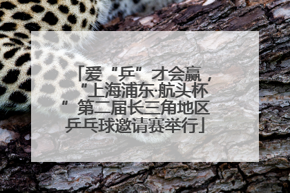 爱“乒”才会赢，“上海浦东·航头杯”第二届长三角地区乒乓球邀请赛举行