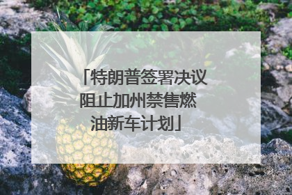 特朗普签署决议 阻止加州禁售燃油新车计划