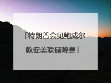 特朗普会见鲍威尔 敦促美联储降息