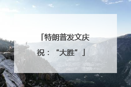 特朗普发文庆祝：“大胜”