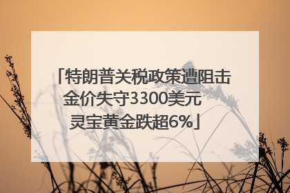 特朗普关税政策遭阻击金价失守3300美元 灵宝黄金跌超6%