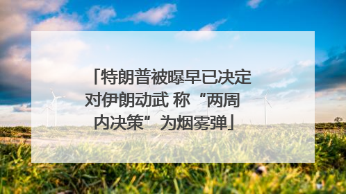 特朗普被曝早已决定对伊朗动武 称“两周内决策”为烟雾弹