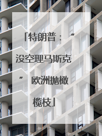 特朗普：“没空理马斯克” 欧洲抛橄榄枝