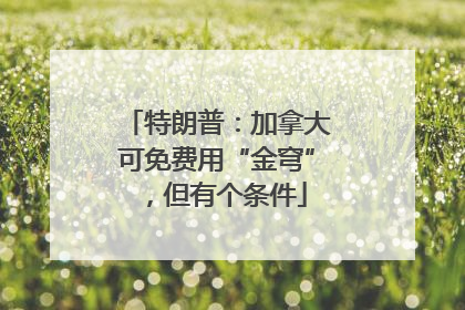 特朗普：加拿大可免费用“金穹”，但有个条件