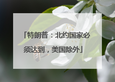 特朗普：北约国家必须达到，美国除外