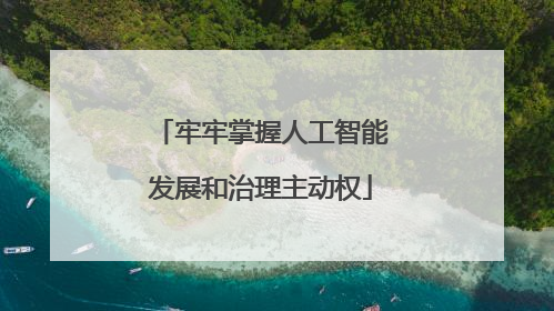 牢牢掌握人工智能发展和治理主动权
