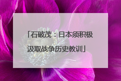 石破茂：日本须积极汲取战争历史教训