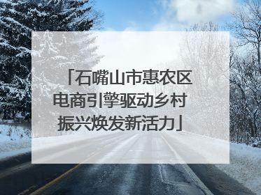 石嘴山市惠农区电商引擎驱动乡村振兴焕发新活力