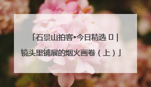石景山拍客•今日精选 ㉓｜镜头里铺展的烟火画卷（上）