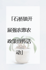 石桥镇开展强农惠农政策宣传活动