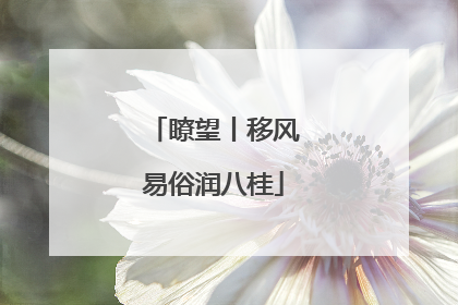 瞭望丨移风易俗润八桂