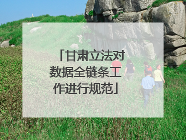 甘肃立法对数据全链条工作进行规范