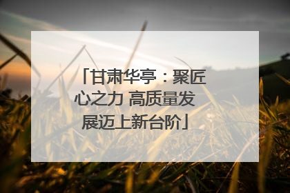 甘肃华亭：聚匠心之力 高质量发展迈上新台阶