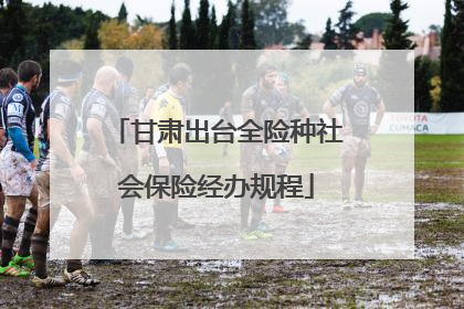 甘肃出台全险种社会保险经办规程