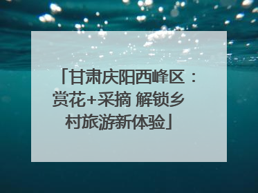 甘肃庆阳西峰区：赏花+采摘 解锁乡村旅游新体验