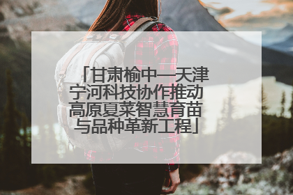 甘肃榆中—天津宁河科技协作推动高原夏菜智慧育苗与品种革新工程