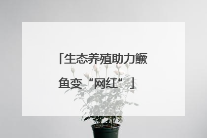 生态养殖助力鳜鱼变“网红”