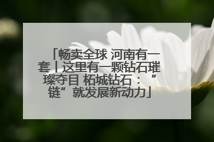 畅卖全球 河南有一套丨这里有一颗钻石璀璨夺目 柘城钻石：“链”就发展新动力