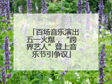 百场音乐演出五一火爆，“跨界艺人”登上音乐节引争议