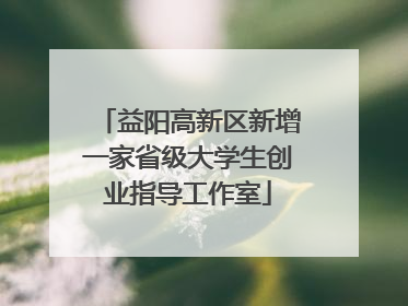 益阳高新区新增一家省级大学生创业指导工作室