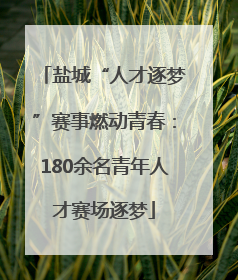 盐城“人才逐梦”赛事燃动青春：180余名青年人才赛场逐梦