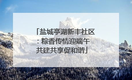 盐城亭湖新丰社区：粽香传情迎端午 共建共享促和谐