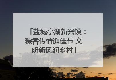 盐城亭湖新兴镇：粽香传情迎佳节 文明新风润乡村