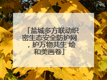 盐城多方联动织密生态安全防护网，护万物共生 绘和美画卷