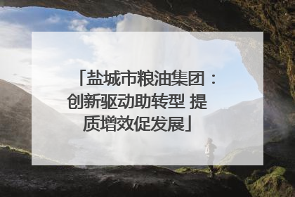 盐城市粮油集团：创新驱动助转型 提质增效促发展