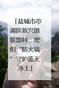 盐城市亭湖区新兴镇联盟村：密织“防火墙”守护蓝天净土