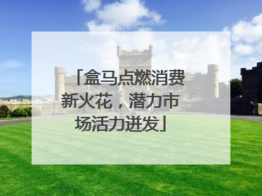 盒马点燃消费新火花，潜力市场活力迸发