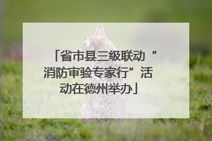 省市县三级联动“消防审验专家行”活动在德州举办