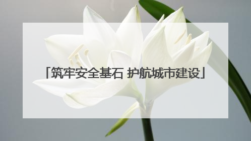 筑牢安全基石 护航城市建设