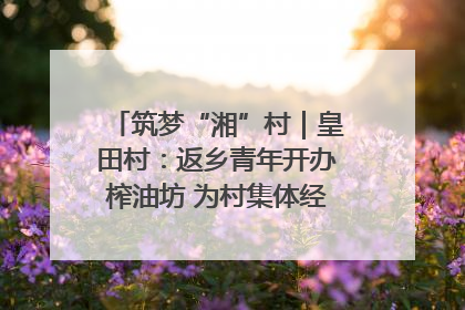 筑梦“湘”村｜皇田村：返乡青年开办榨油坊 为村集体经济“加油”