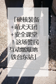 硬核装备+萌犬天团+安全课堂！这场警民互动燃爆地铁台东站