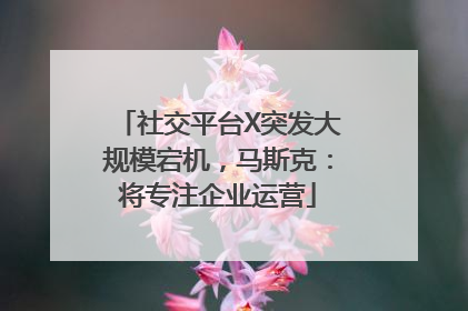社交平台X突发大规模宕机，马斯克：将专注企业运营