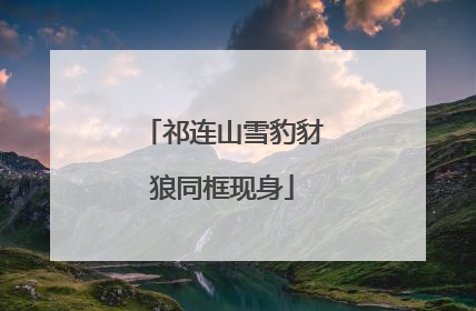 祁连山雪豹豺狼同框现身