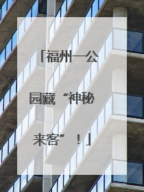 福州一公园藏“神秘来客”！