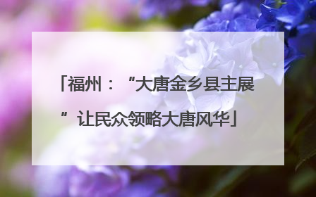 福州：“大唐金乡县主展”让民众领略大唐风华