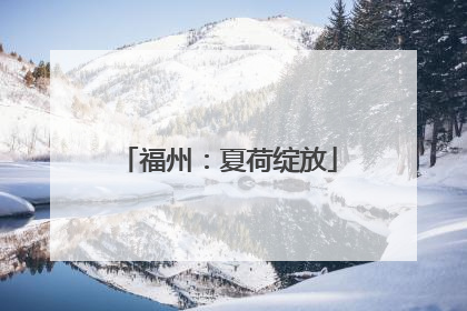 福州：夏荷绽放