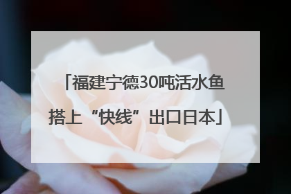 福建宁德30吨活水鱼搭上“快线”出口日本