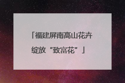 福建屏南高山花卉绽放“致富花”