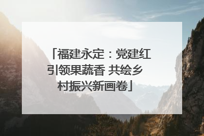 福建永定：党建红引领果蔬香 共绘乡村振兴新画卷