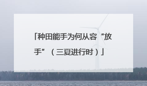 种田能手为何从容“放手”（三夏进行时）