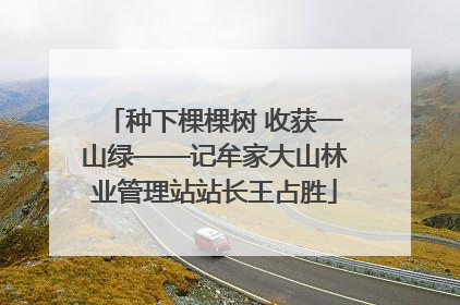 种下棵棵树 收获一山绿——记牟家大山林业管理站站长王占胜