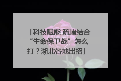 科技赋能 疏堵结合 “生命保卫战”怎么打？湖北各地出招