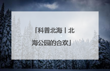 科普北海丨北海公园的合欢