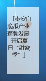 秦安白脆瓜产业蓬勃发展 开启夏日“甜蜜季”