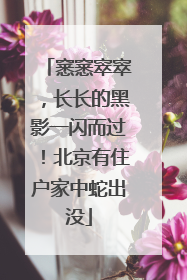 窸窸窣窣，长长的黑影一闪而过！北京有住户家中蛇出没
