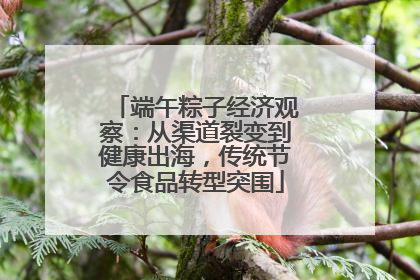 端午粽子经济观察：从渠道裂变到健康出海，传统节令食品转型突围